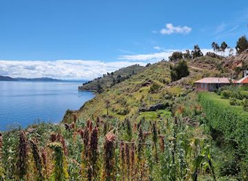 peru/lake-titicaca/restaurant/restaurant-playa-chujuno