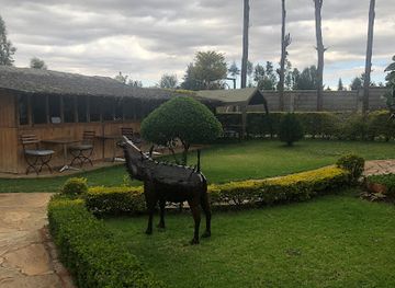 kenya/mount-kenya-national-park/restaurant/angiri-camp-nanyuki