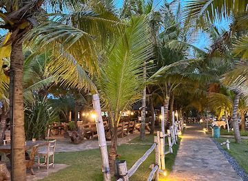 togo/mango/restaurant/blue-turtle-bay