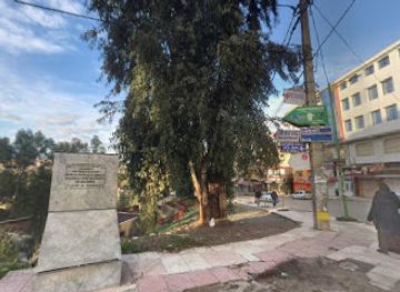 algeria/tizi-ouzou/restaurant/restaurant-le-mofa