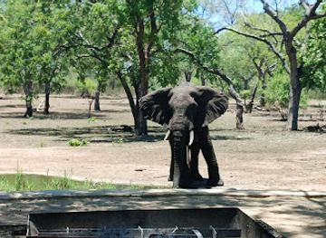 malawi/majete-wildlife-reserve/restaurant/majete
