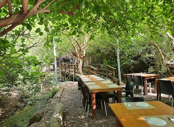 israel/galilee/restaurant/dag-al-dan