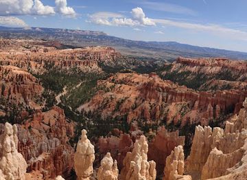 arizona/kaibab-national-forest/restaurant/wild-thyme-cafe