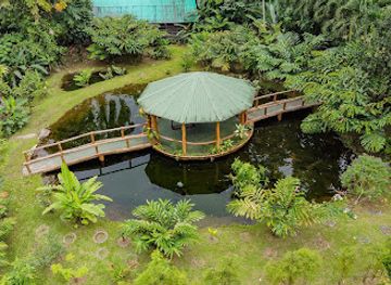 costa-rica/la-fortuna-waterfall/restaurant/la-finquita-from-farm-to-table