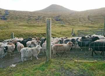 faroe-islands/gasadalur/restaurant/nidristova