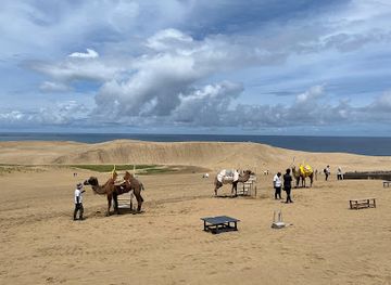 japan/tottori-sand-dunes/restaurant/sakyu-kaikan
