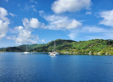 french-polynesia/leeward-islands/restaurant/le-ficus