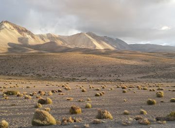 bolivia/chacaltaya/restaurant/border