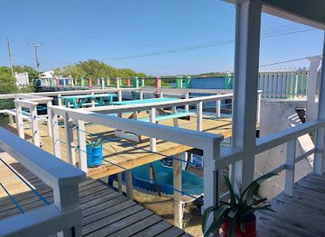 honduras/utila/restaurant/dockside-eatery