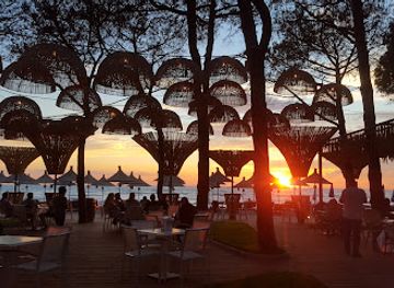 albania/rrogozhina-region/restaurant/sea-zone-restaurant