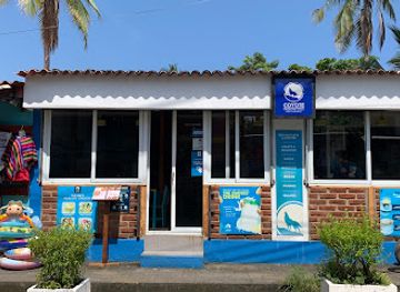 el-salvador/coastal-region/restaurant/coyote