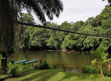 brunei/belalong-canopy-walkway/restaurant/freme-rainforest-lodge
