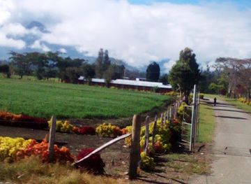 papua-new-guinea/mount-hagen/restaurant/highlands-agriculture-college