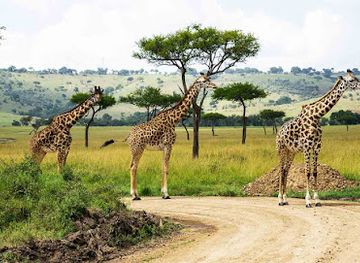 tanzania/katavi-plains/restaurant/katavi-national-park