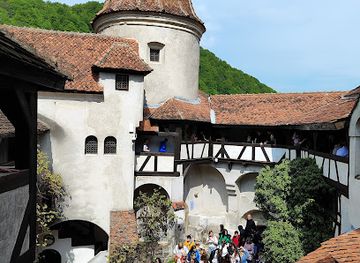 romania/bran-moieciu/restaurant/dracula-transylvania-resort