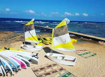 lebanon/batroun-coast/restaurant/colonel-reef-beach