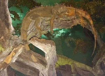 chile/punta-arenas/restaurant/circulo-suizo