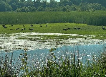 delaware/bombay-hook-national-wildlife-refuge/restaurant/bombay-hook-national-wildlife-refuge
