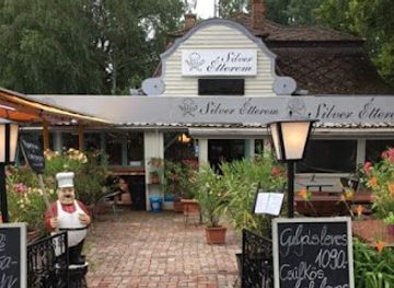 hungary/transdanubia/restaurant/ezustpart-etterem