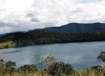 papua-new-guinea/kokoda-track/restaurant/dynasty-seafood-restaurant