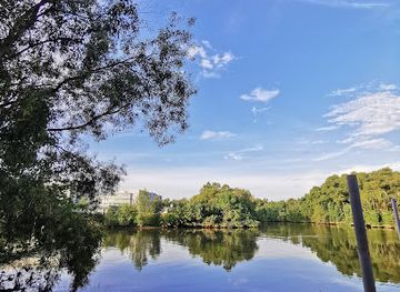 brunei/pulau-selirong-forest-reserve/restaurant/ximply-chriz-one-riverside