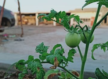 oman/mirbat/restaurant/partyat-restaurant-banquet