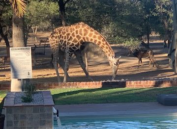 namibia/kavango/restaurant/otjibamba-lodge