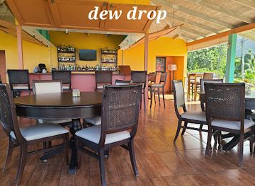 saint-kitts-and-nevis/saint-john-figtree-parish/restaurant/dew-drops-restaurant-bar
