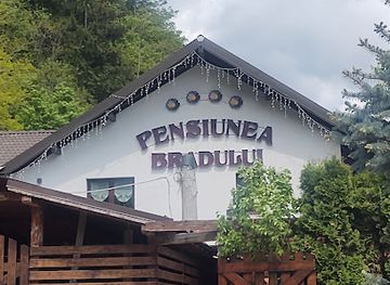 romania/rodnei-mountains/restaurant/pensiunea-bradului-4