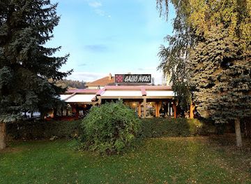 romania/valcea/restaurant/gallo-nero