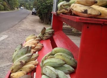 french-polynesia/bora-bora/restaurant/bora-bora-snacking