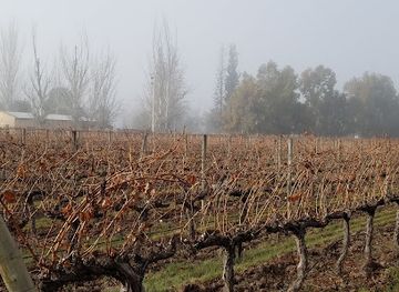 argentina/mendoza-wine-region/restaurant/terrazas-de-los-andes