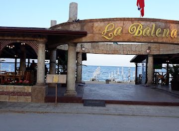 bulgaria/golden-sands/restaurant/la-balena