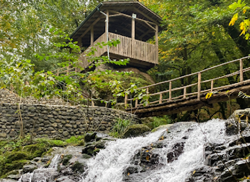 azerbaijan/talysh-mountains/restaurant/tebessum-istirahet-merkezi