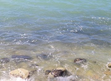 jamaica/pedro-plains/restaurant/dawn-by-the-sea