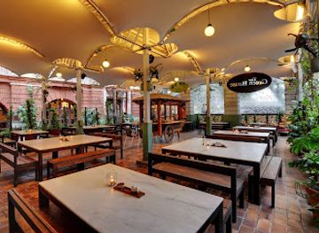 india/ahmedabad/restaurant/the-green-house