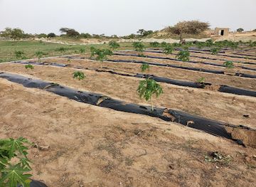 senegal/lompoul-desert/restaurant/lompoul