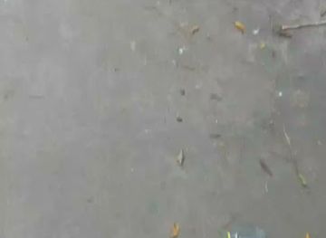 honduras/olancho-region/restaurant/restaurante-la-galera