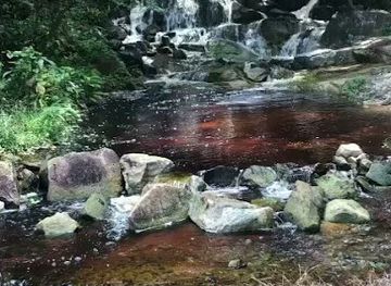 guyana/bartica/restaurant/river-view-diner