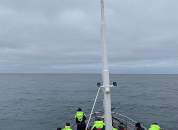 iceland/husavik/restaurant/nordlenska