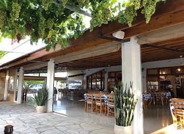 cyprus/pissouri-village/restaurant/artemis-restaurant