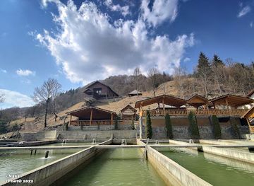 romania/rodnei-mountains/restaurant/pastravaria-rin-romuli