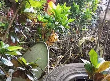 comoros/domoni/restaurant/samdi