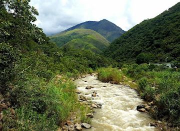 bolivia/yungas/restaurant/bon-apettit-and-carla-s-garden-pub