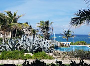barbados/saint-philip/restaurant/the-carriage-house