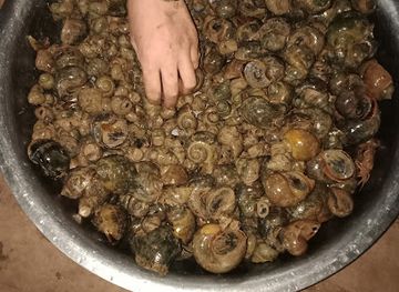 laos/phonsavan/restaurant/phonngam-restaurant