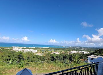 puerto-rico/caribbean-national-forest/restaurant/richie-s-restaurant