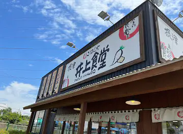 Maido Ookini Settsu Inoue Shokudo