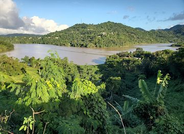 puerto-rico/caribbean-national-forest/restaurant/lechonera-angelito-s-place