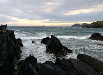 ireland/skellig-michael/restaurant/driftwood-surf-cafe